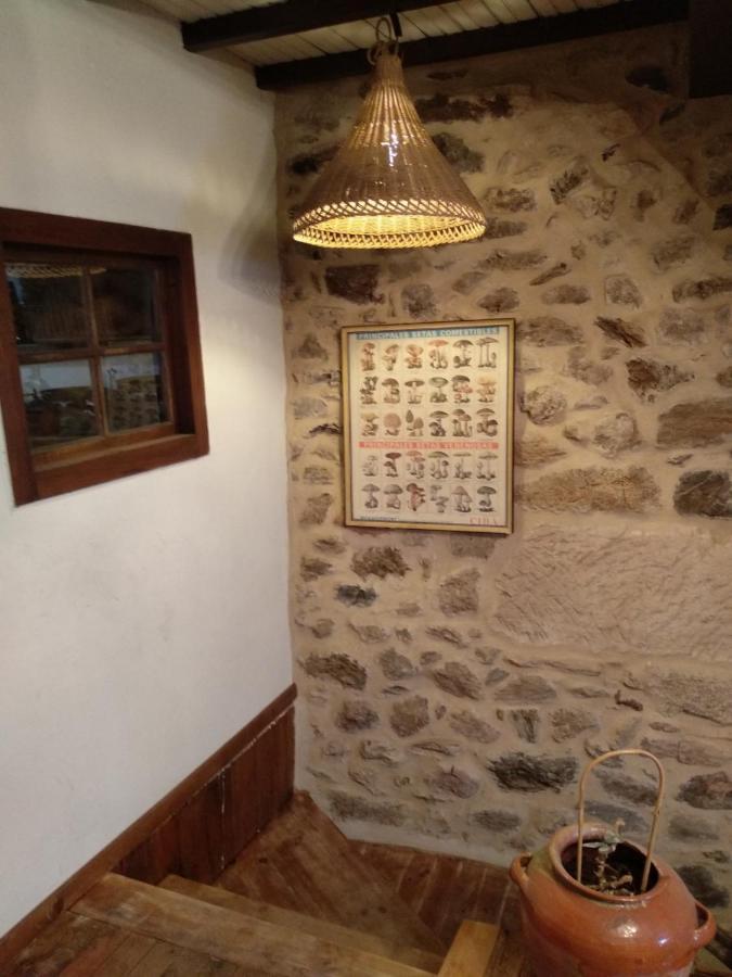 Casa Ribeira Sacra, Ourense, Ninodaguia, Galicia Exteriör bild